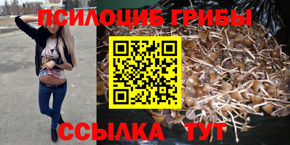 Галлюциногенные грибы Psilocybe Кумертау