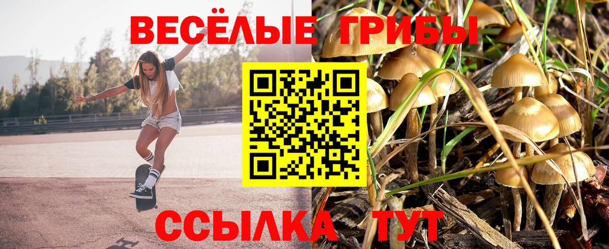 Галлюциногенные грибы Magic Shrooms  Псилоцибиновые грибы прущие грибы  Кумертау  Вход с VPN 
